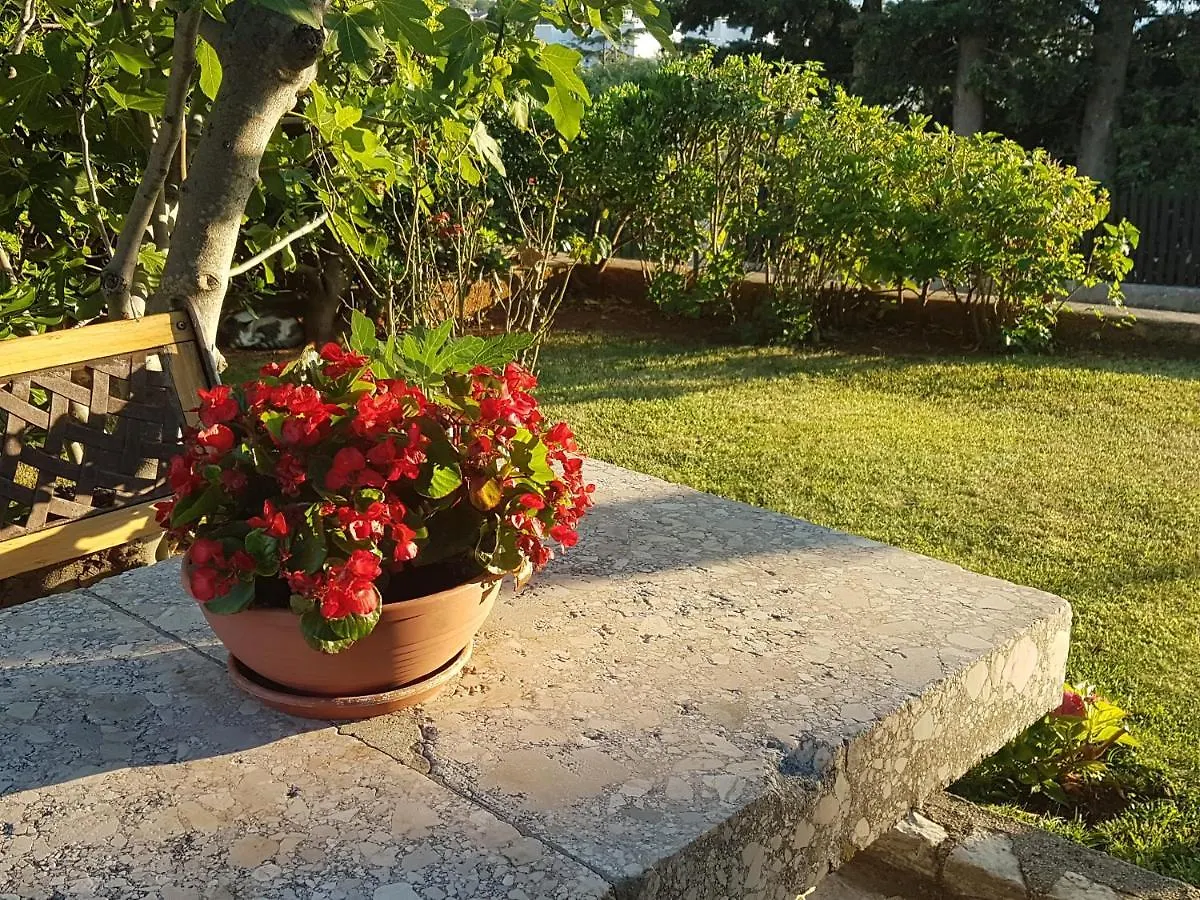 Casa Croatia Apartment Punat