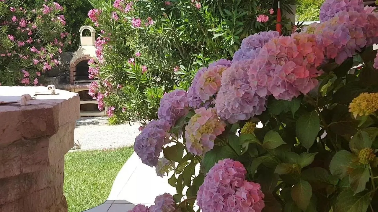 Casa Croatia Apartment Punat